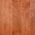 Teak